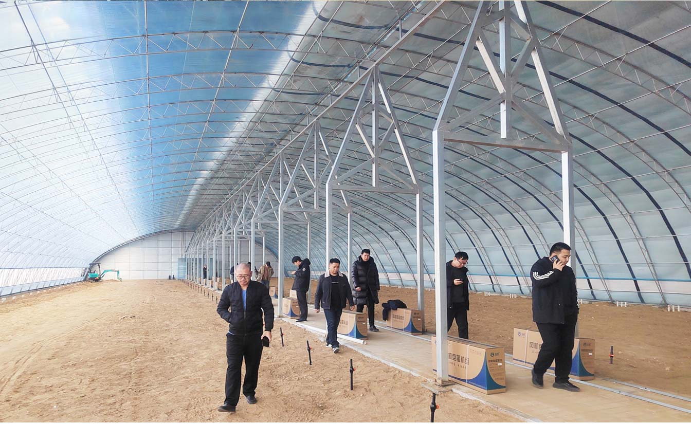 大路鎮苗家灘社區項目-智能溫室、日光溫室建設項目_09.jpg